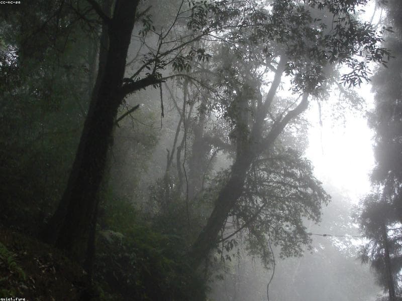 Sikkim landscape